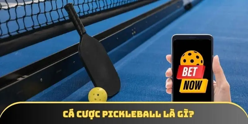 Hãy cập nhật cá cược bộ môn Pickleball một cách bài bản  Hãy cập nhật cá cược bộ môn Pickleball một cách bài bản