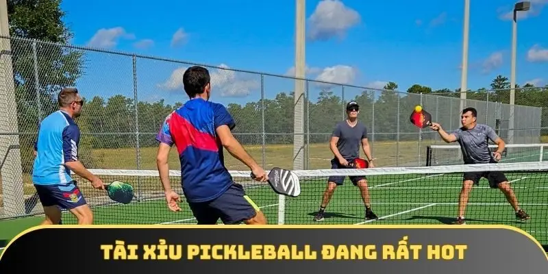 Cũng như bóng đá, Tài Xỉu Pickleball cũng hot không kém Cũng như bóng đá, Tài Xỉu Pickleball cũng hot không kém