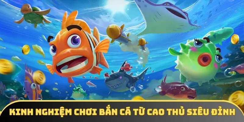 Kinh nghiệm chơi bắn cá từ cao thủ siêu đỉnh Kinh nghiệm chơi bắn cá từ cao thủ siêu đỉnh